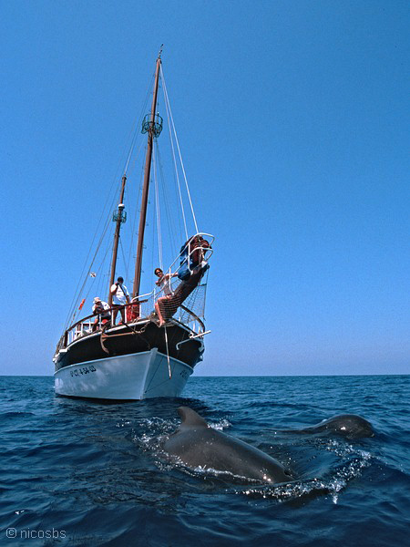Experiencia a bordo por el Mar Menor